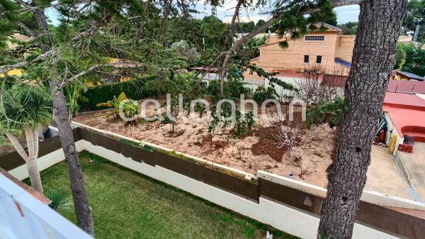 Terreno en calle 230