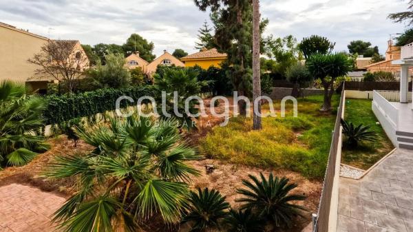 Terreno en calle 230