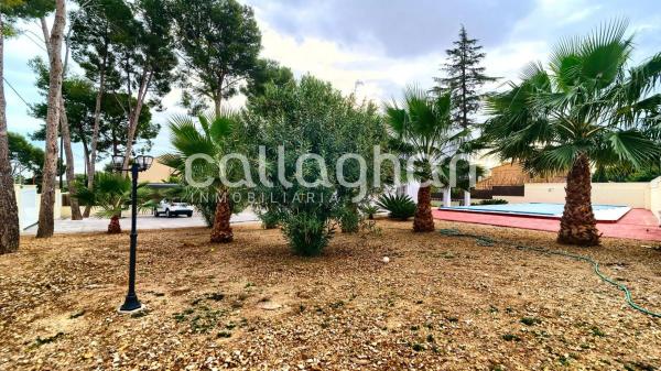 Terreno en calle 230