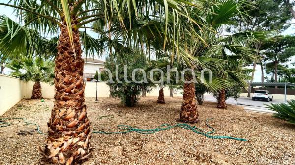 Terreno en calle 230