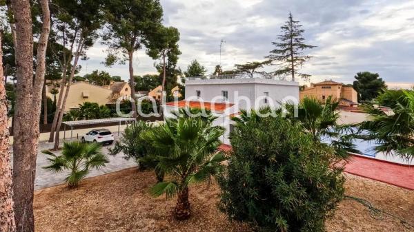 Terreno en calle 230