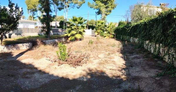 Terreno en calle 229