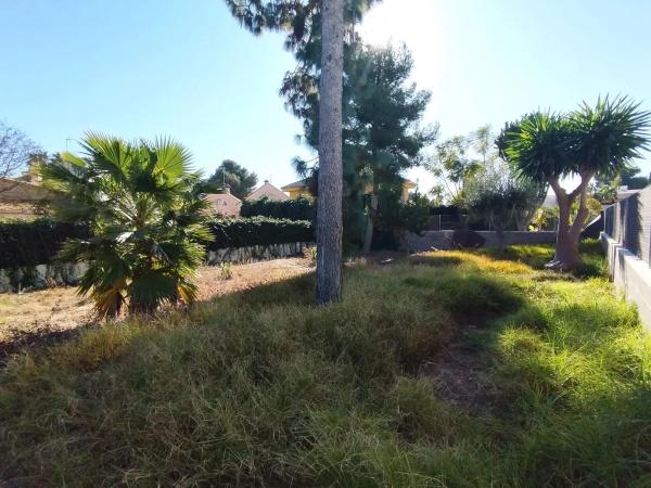 Terreno en calle 229