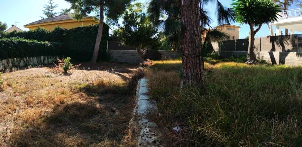 Terreno en calle 229