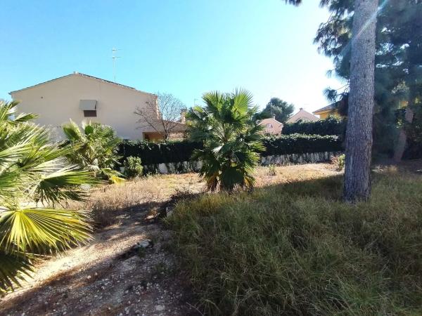 Terreno en calle 229