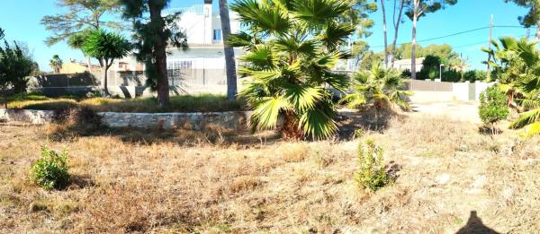 Terreno en calle 229