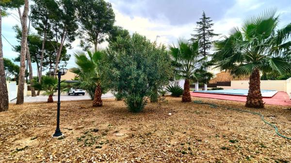 Terreno en calle 219