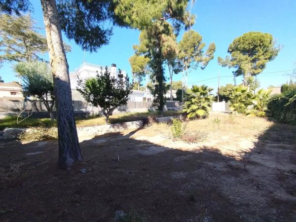 Terreno en calle 229