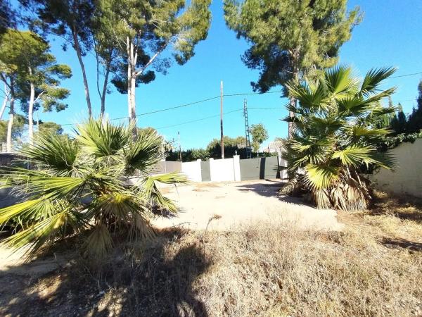 Terreno en calle 229