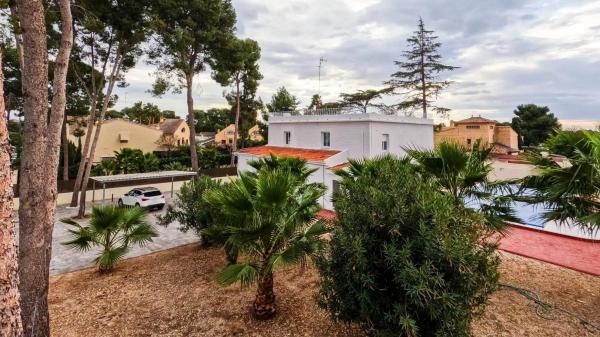 Terreno en calle 219