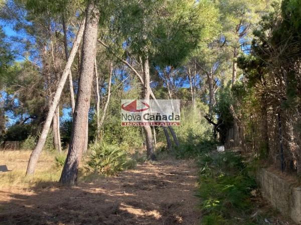 Terreno en La Cañada