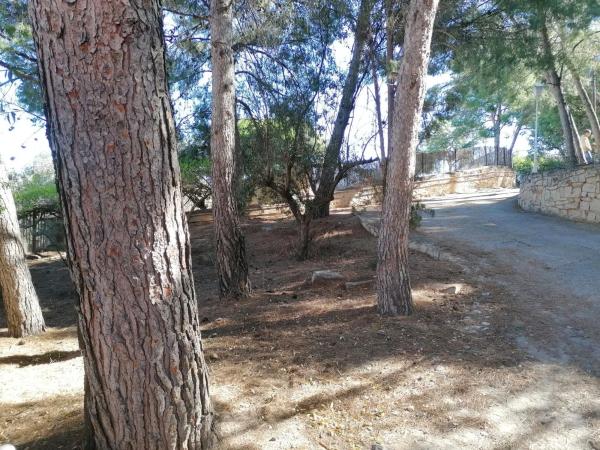 Terreno en Corts Valencianes s/n