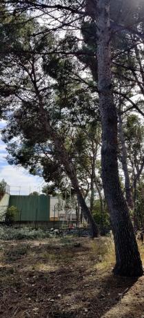 Terreno en Corts Valencianes s/n