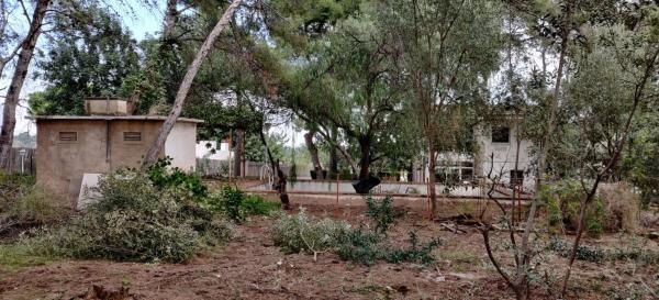 Terreno en Corts Valencianes s/n