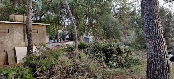 Terreno en Corts Valencianes s/n