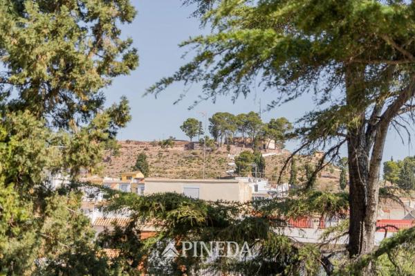 Terreno en avenida Antonio Sacramento