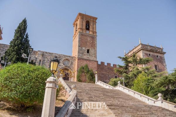 Terreno en avenida Antonio Sacramento