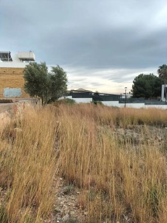 Terreno en calle Sèquia de Tormos