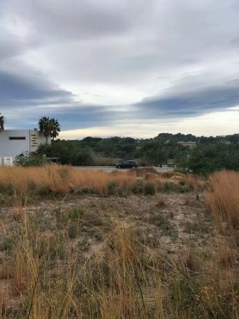 Terreno en calle Sèquia de Tormos