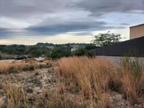 Terreno en calle Sèquia de Tormos