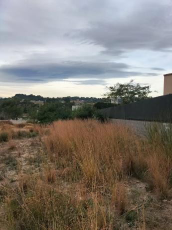 Terreno en calle Sèquia de Tormos