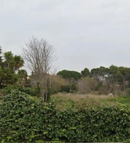 Terreno en avenida Constitución