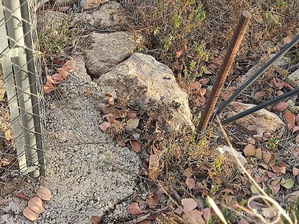 Terreno en plaza Sant Roc