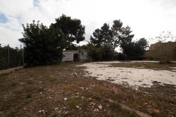 Terreno en calle Prunes, 6