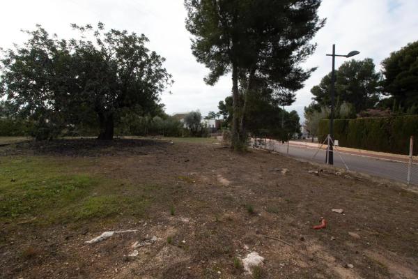 Terreno en calle Prunes, 6