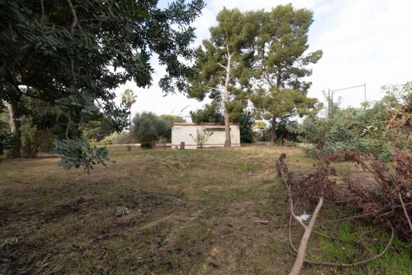 Terreno en calle Prunes, 6