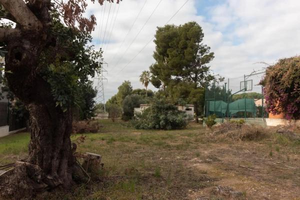 Terreno en calle Prunes, 6