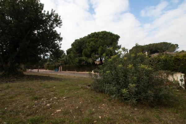 Terreno en calle Prunes, 6