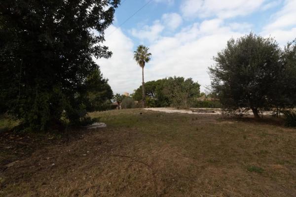 Terreno en calle Prunes, 6