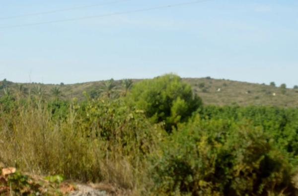 Terreno en calle Montgo, 8