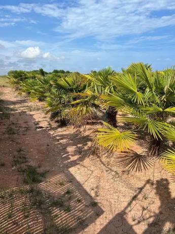 Terreno en via Sense Nom