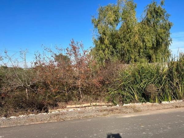 Terreno en Playa de Puçol