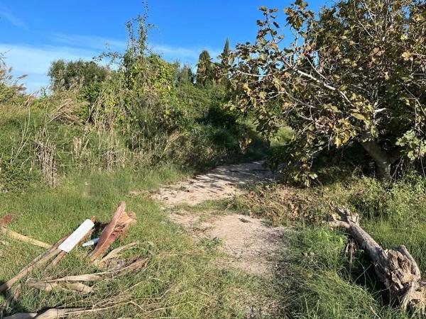 Terreno en camino Acotament