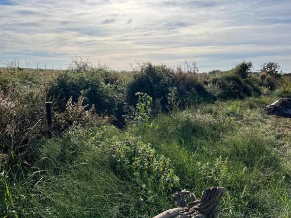 Terreno en camino Acotament