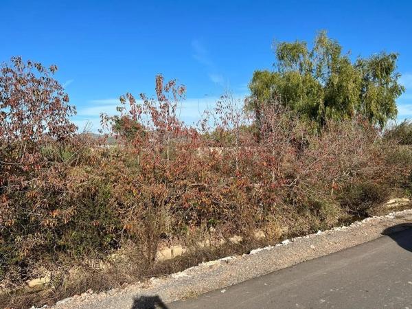 Terreno en Playa de Puçol