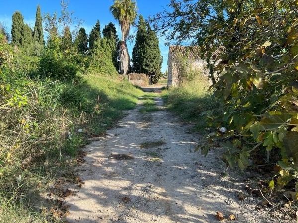 Terreno en camino Acotament