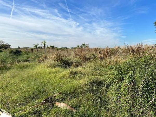 Terreno en camino Acotament