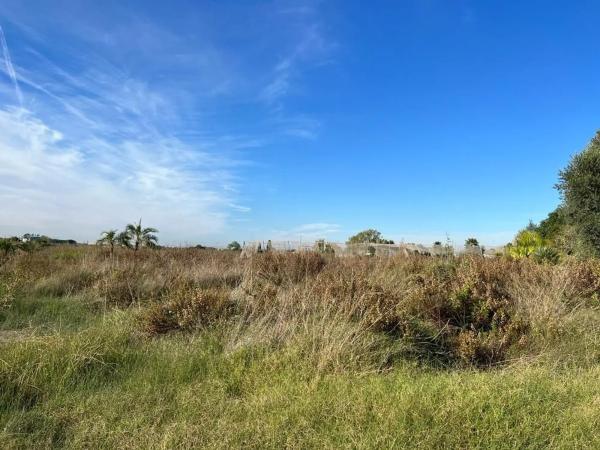 Terreno en camino Acotament