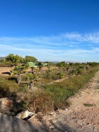 Terreno en camino la Canal