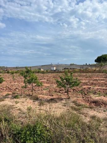 Terreno en camino la Canal