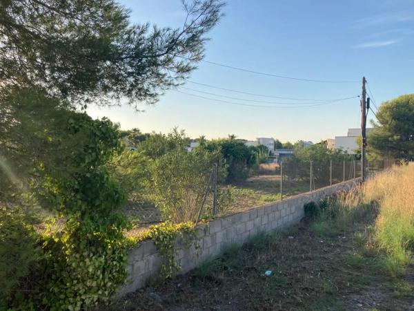 Terreno en calle 299, 24