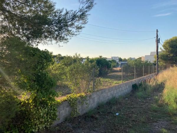 Terreno en calle 299, 24