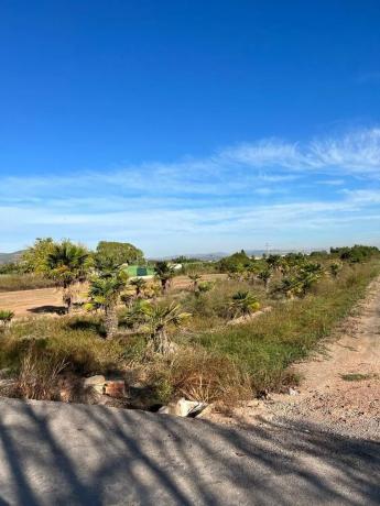 Terreno en camino la Canal