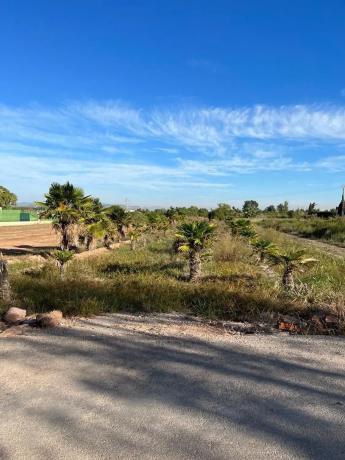 Terreno en camino la Canal