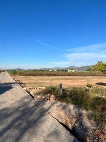 Terreno en camino la Canal
