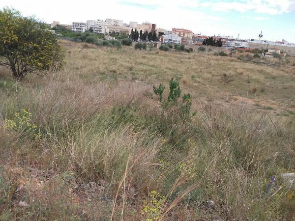 Terreno en camino Bovalar